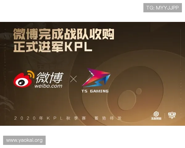 凯发ag电竞用户注册流程与新手入门指南帮助新手快速上手体验